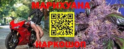 прущие грибы Севастополь