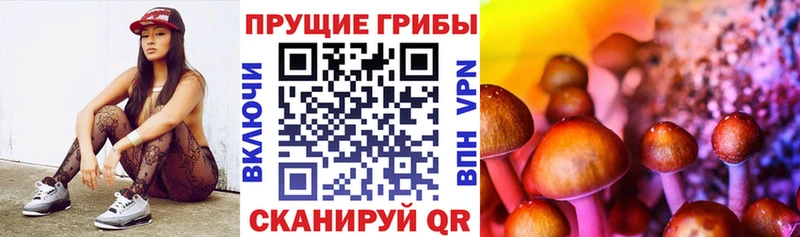 Псилоцибиновые грибы Psilocybe  hydra рабочий сайт  Стрежевой 