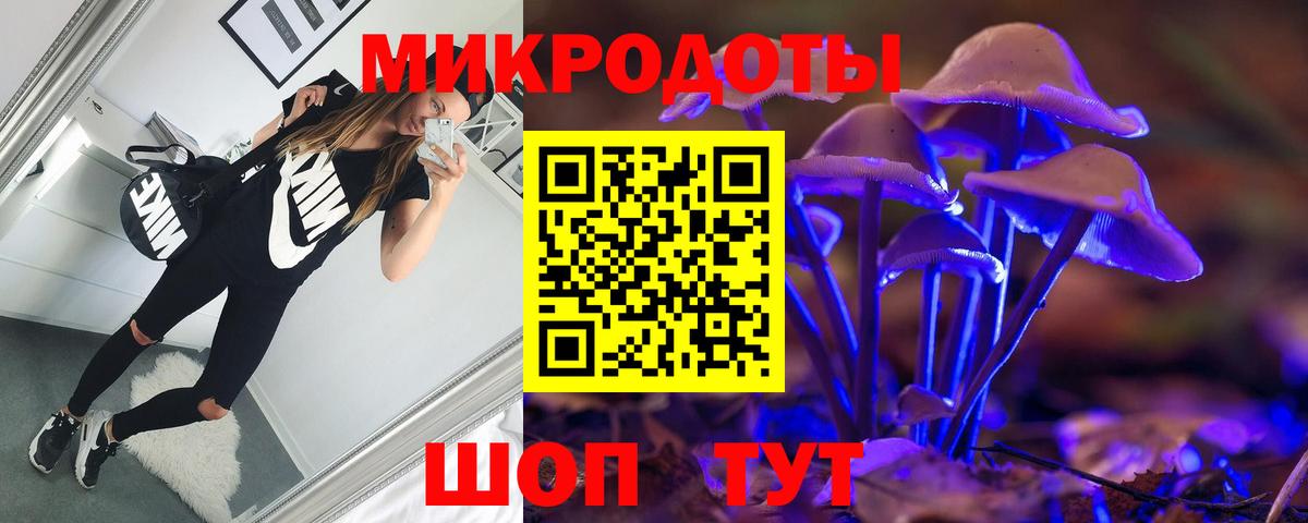 Псилоцибиновые грибы GOLDEN TEACHER Стрежевой